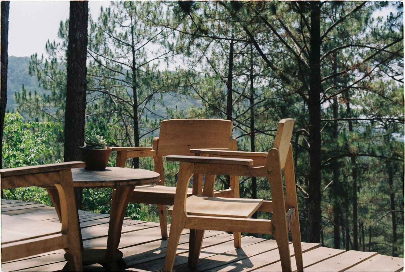 Wooden armchairs and a small round table with a potted succulent on a plank deck overlooking a hillside of tall pines