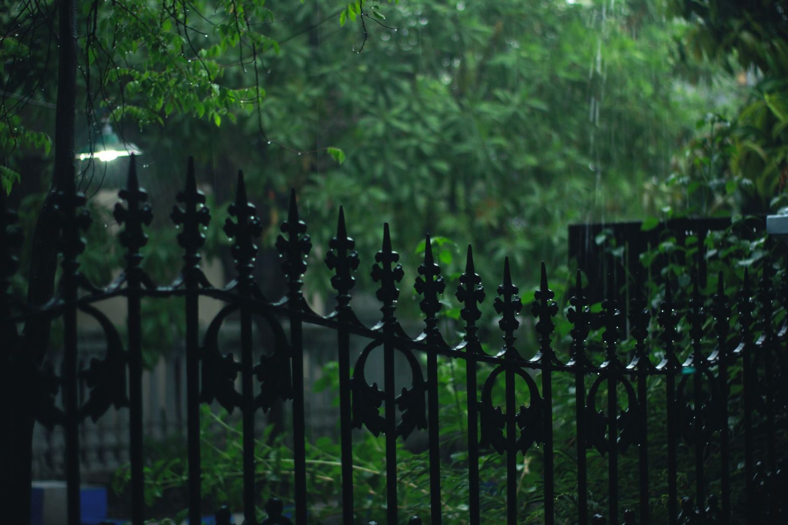 A black ornamental metal fence with spear-point finials, wet with rain in front of dense green foliage at dusk